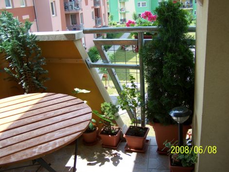100_0059.jpg