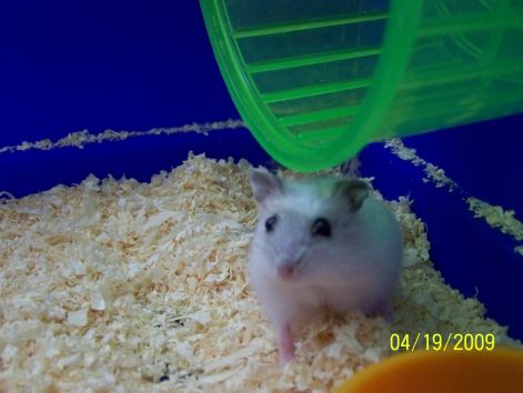 100_0600.jpg