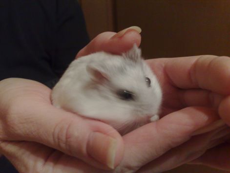 20100207118.jpg